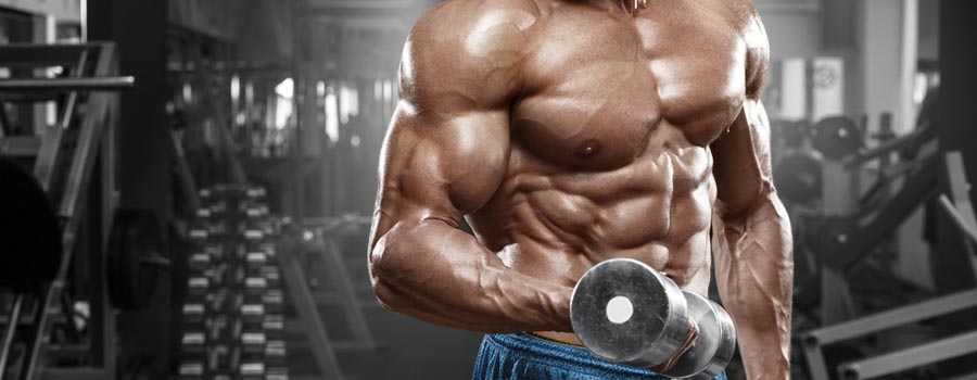 Health Benefits of Branched Chain Amino Acids