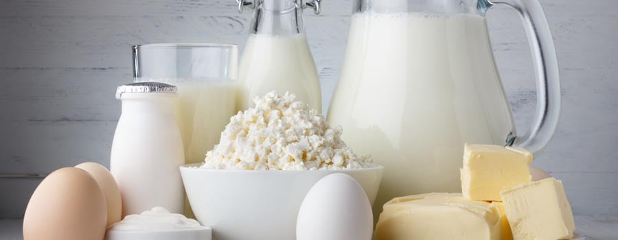 Managing lactose intolerance and your protein powder