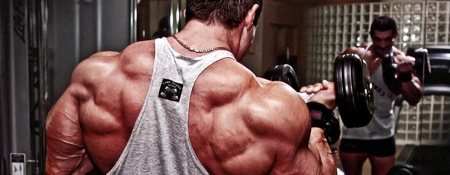 Muscle building tips for using casein and milk protein powder at night