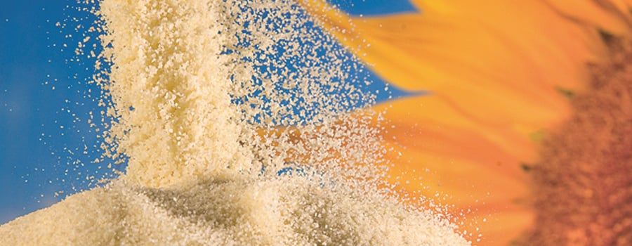 Whey Protein Concentrate now with sunflower lecithin!