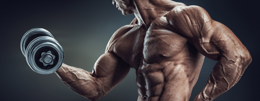 The best sports supplements for building muscle