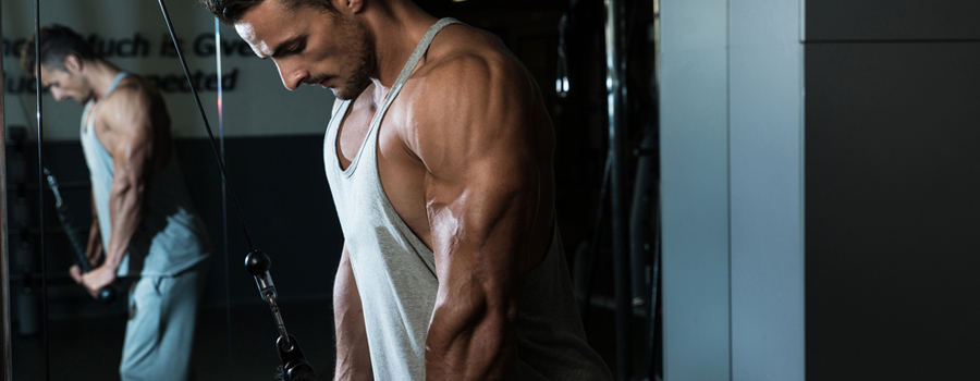 Bodybuilding Diet - Cutting 101 : So you want to cut and shred?