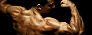 Five must-have supplements for hardgainers