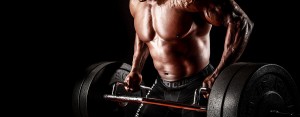CLA supplement 101