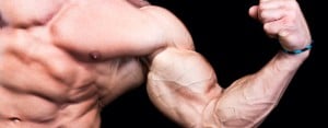 Beginners guide to becoming a bodybuilder.