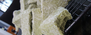 BP Coconut and Matcha Protein Fudge